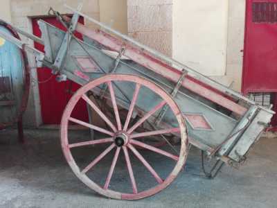 Il primo mezzo che ammiriamo � un carrettino dai tenui colori grigio e rosa: � uno �sciaraball�, il cui nome � una storpiatura del francese char-�-bancs. � un carro leggero montato su balestre con dei banchi di legno utili per la seduta 